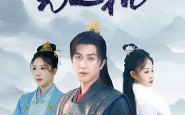短剧《满城尽带无人机 (2025)》全集免费在线观看