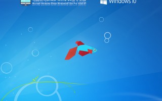 电脑公司Win10 64位 专业版V2021.07(极速版)