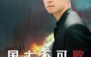 短剧《国士不可欺（79集全）》免费在线观看
