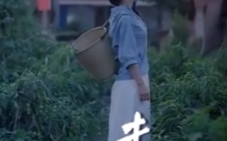 短剧《闪婚后被傅少掐腰宠（90集全）》免费观看