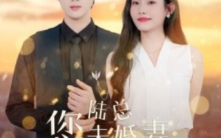 短剧《陆总您未婚妻又作又茶（1-100集）》全集免费在线观看