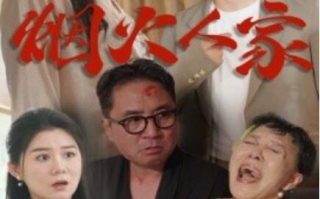 短剧《烟火人家（1-29集）》全集免费在线观看