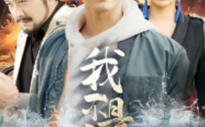 短剧《我不是高手（82集全）》免费观看