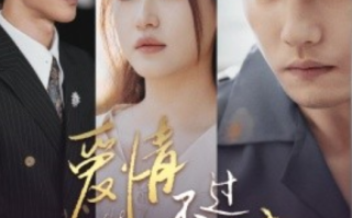 短剧《爱情不过一种疯（96集全）》免费观看