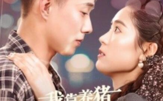 短剧《我靠养猪走上人生巅峰（1-60集）》全集免费在线观看
