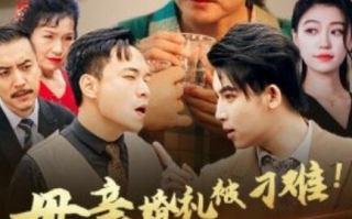 短剧《母亲婚礼被刁难！首富儿子杀疯了（1-33集）》全集免费在线观看