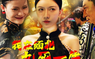 短剧《我在缅北九死一生（80集全）》免费观看