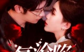 短剧《复沦陷 (2025)》全集免费在线观看