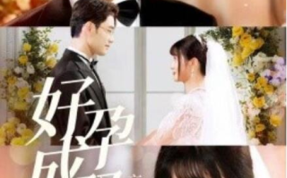 短剧《好孕成双高冷佛爷放肆宠（86集全）》免费观看