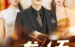 短剧《困龙冲天（115集全）》免费在线观看