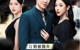 短剧《订婚被抛弃，我转身娶了京圈大小姐（1-62集）》全集免费在线观看