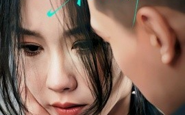 短剧《以身为饵（31集）王慧龙＆李瑾 (2025)》全集免费在线观看