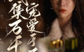 短剧《破产后我集万千宠爱于一身（1-81集）》全集免费在线观看