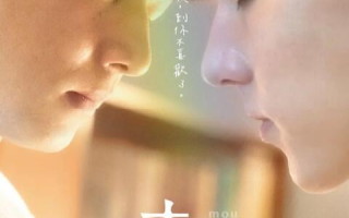 台剧《某某（12集全）》高清HD1080p完整版在线免费观看
