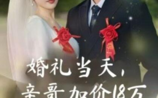 短剧《婚礼当天，亲哥加价18万（1-36集）》全集免费在线观看
