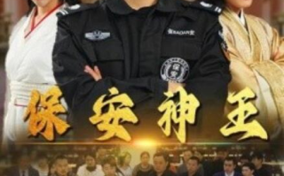 短剧《保安神王（67集全）》免费观看