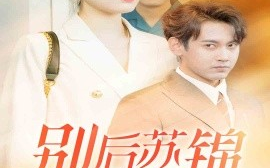短剧《别后苏锦绽华光 (2025)》全集免费在线观看