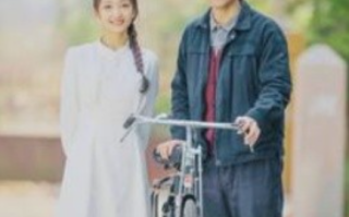 短剧《似火流年（100集全）》免费观看