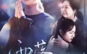 短剧《雨落尘归（80集全）》免费观看