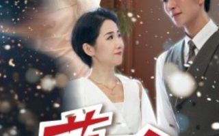 短剧《荣耀之下（46集全）》免费观看