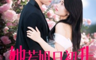 短剧《她若旭日初升（40集全）》免费观看