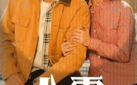 短剧《八零春风吹满地（60集）郑明洋＆丁晓 (2025)》全集免费在线观看