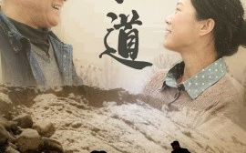 短剧《妇道（30集）(2025)》全集免费在线观看