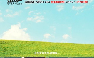 雨林木风GHOST WIN10 64位 专业1703版 V2017.10（纯净版）