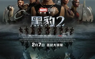 黑豹 Black Panther 1-2合集高清蓝光4k免费在线观看