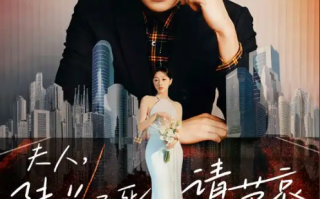 短剧《夫人，陆总已死请节哀(95集全）》免费观看