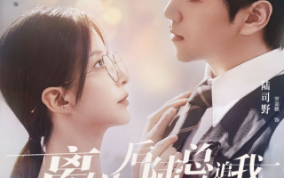 短剧《离婚后陆总倒追我帮我提鞋》（100集）罗嘉麒＆丁晓全集免费在线观看