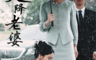 短剧《天降老婆（81集全）》免费在线观看