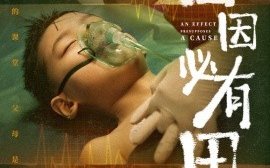 短剧《百因必有果 (2024)》全集免费在线观看