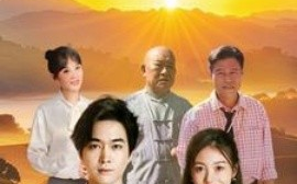 短剧《追光向阳而生 (2025)》全集免费在线观看