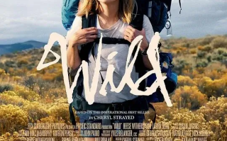 涉足荒野 Wild (2014)高清蓝光4k免费在线观看