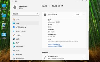 Win11系统下载_Win11 24H2专业版镜像iso下载【己永久关闭自动更新】