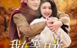 短剧《我在等，月光落在我身上 (2025)》全集免费在线观看