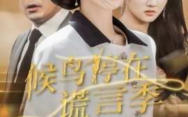 短剧《候鸟停在谎言季（45集）张梓桐&吴毅非 (2025)》全集免费在线观看
