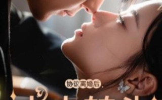 短剧《协议离婚后，夫人转头改嫁了（1-63集）》全集免费在线观看