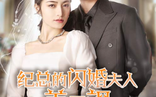 短剧《纪总的闪婚夫人美又飒（90集全）》免费观看