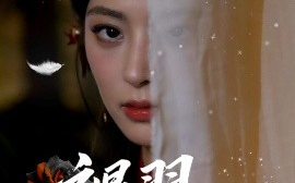 短剧《褪羽时分（61集）王美淇&关潇 (2025)》全集免费在线观看 