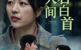 短剧《与君白首此人间 (2024)》全集免费在线观看