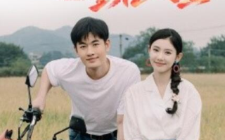 短剧《村花绽放重启人生（40集全）》免费在线观看