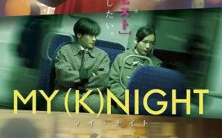 我的一夜骑士 (2023)高清蓝光4k免费在线观看