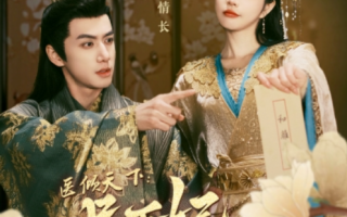 短剧《医倾天下：一品王妃要休夫（96集全）》免费观看
