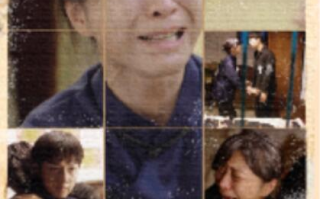 短剧《母子连心（1-70集）》全集免费在线观看
