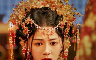 短剧《纵使相逢应不识（91集全）》免费观看