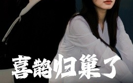 短剧《喜鹊归巢了（60集）朱小雪 (2025)》全集免费在线观看