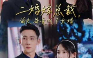 短剧《二婚嫁总裁前夫哥竟成了女婿（1-95集）》全集免费在线观看