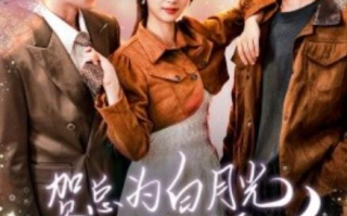 短剧《贺总为白月光取消订婚，我不嫁了（105集全）》免费在线观看